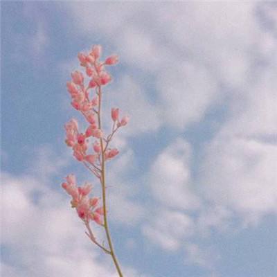 科工力量:Sora“猝死”,6个月从山顶到坟头,原因何在?